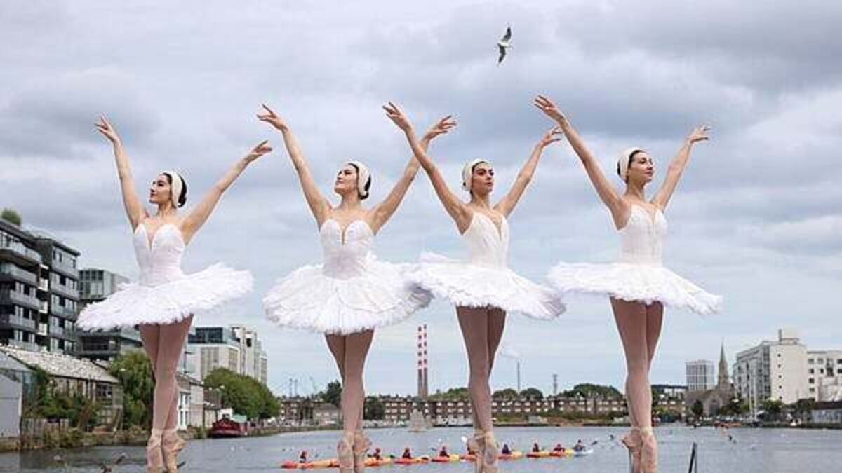 Swan Lake Dancers announce second Dublin performance