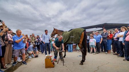 Hewick heads home to Kildare as he rides into retirement