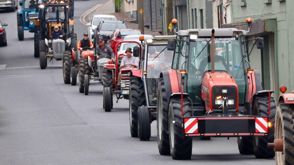 Kildare rally is a fundraising success