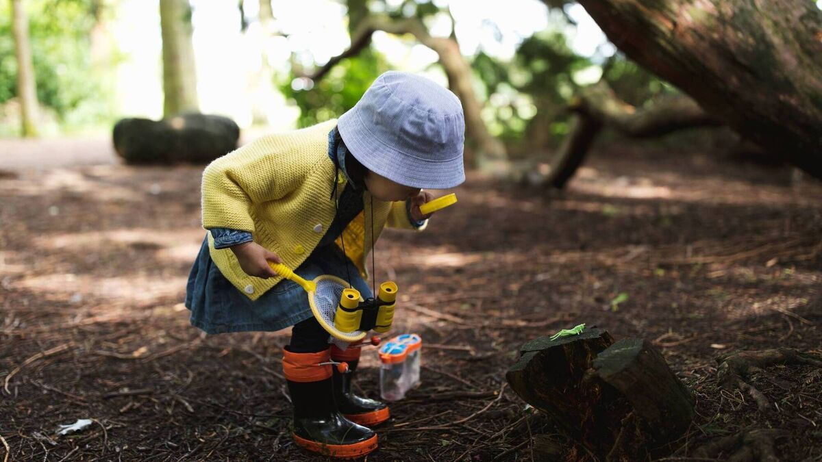 The curriculum we've forgotten: agricultural education