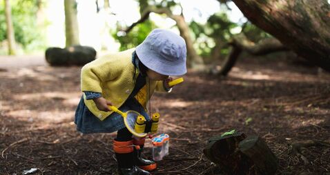 The curriculum we've forgotten: agricultural education