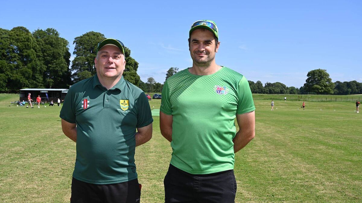 Halverstown Cricket Club's future uncertain amid search for new home