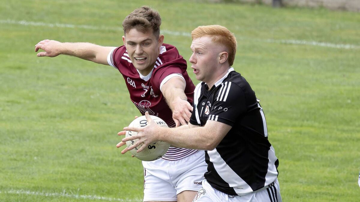 Magnificent Maynooth make light work of courageous Caragh