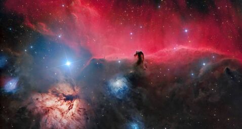 Kildare photographer's stunning pic wins national award