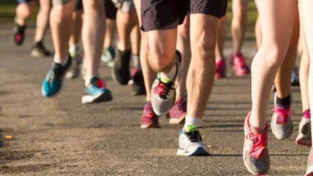 Kildare charity host 5K Recovery Walk at Malahide Castle