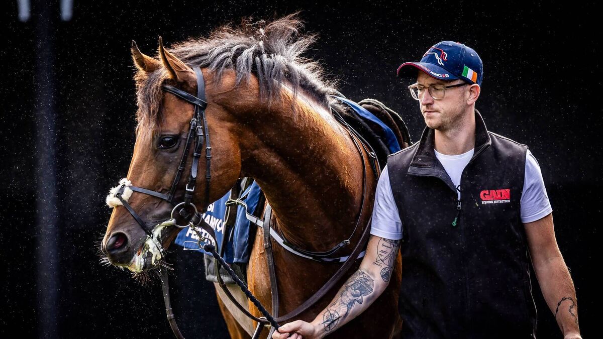 Super fields take shape for seven Irish Champions Festival Group Ones