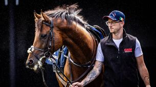 <p>Jessica Harrington’s Hotazhell could be one of the stars of the weekend at the Irish Champions Festival Photo: ©INPHO/Morgan Treacy</p>