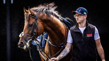 Super fields take shape for seven Irish Champions Festival Group Ones