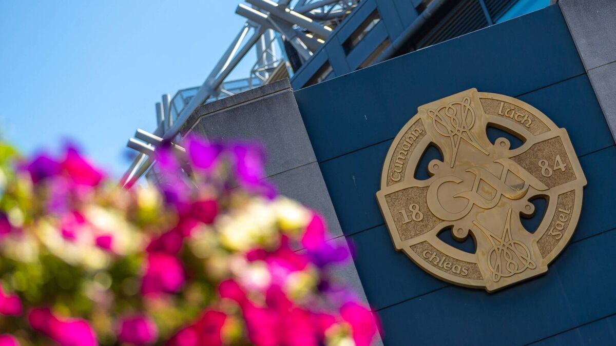 Hurling rule enhancements to be trialed in Fitzgibbon Cup league stage