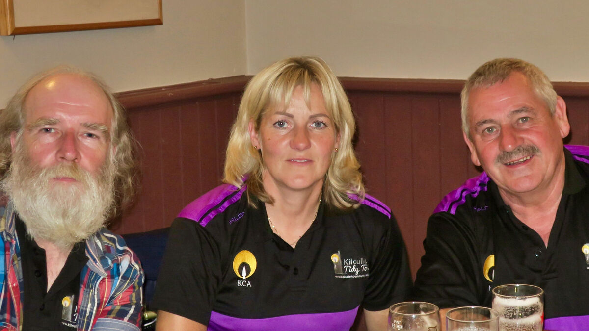 Kilcullen Tidy Town successes 'built on years of work'