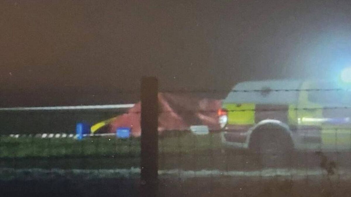 Victim of helicopter crash in Kildare had to be identified using DNA match, inquest hears