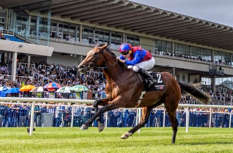 Darkness Falls provides the perfect backdrop to a stunning Champions Festival Day One - News
