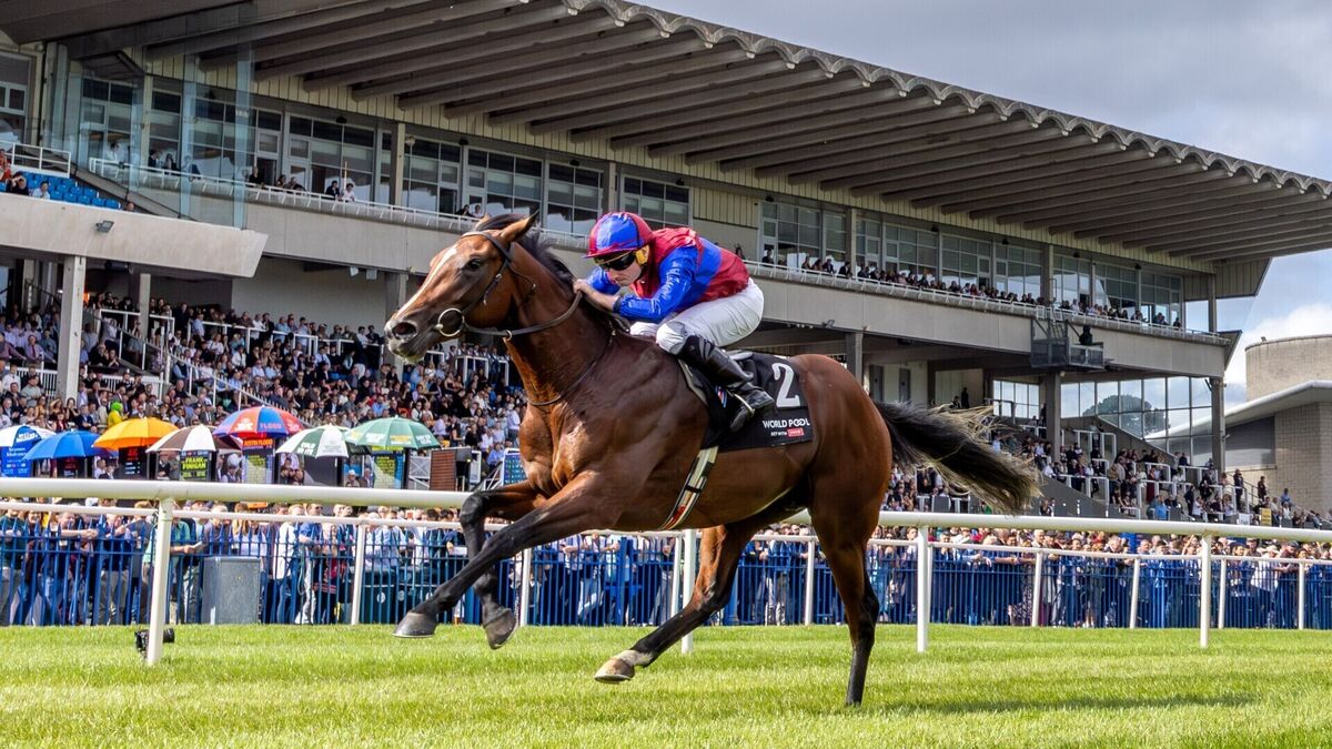 Darkness Falls provides the perfect backdrop to a stunning Champions Festival Day One