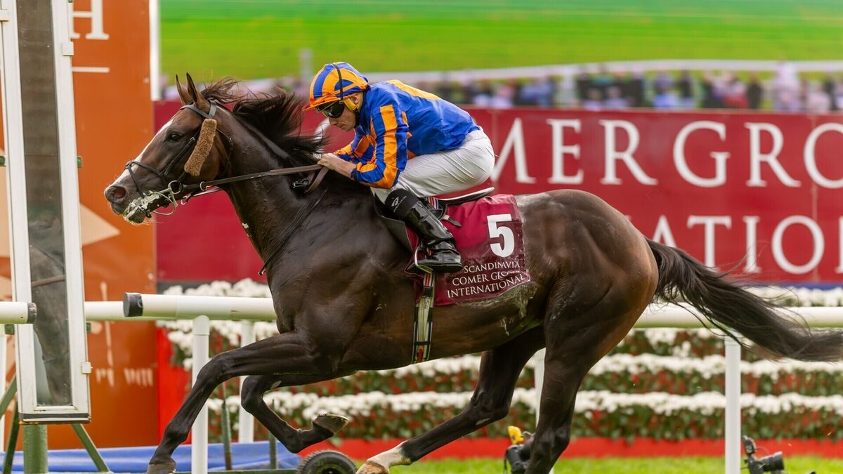 Super Moore four-timer tops Curragh showcase