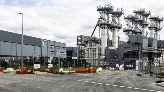 <p>Gas turbines for the power supply stand beside the Echelon Data Centre in Clondalkin</p>