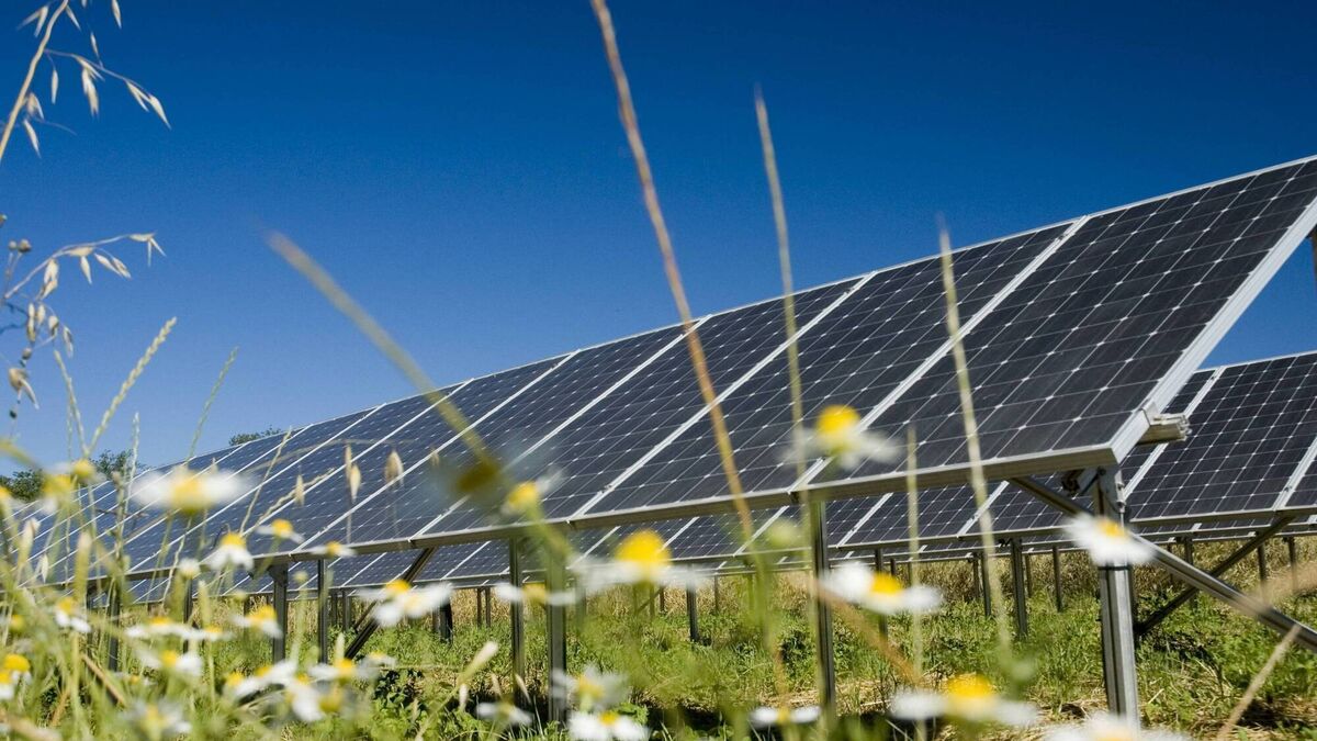 Developer defends proposed Kildare solar farm project 