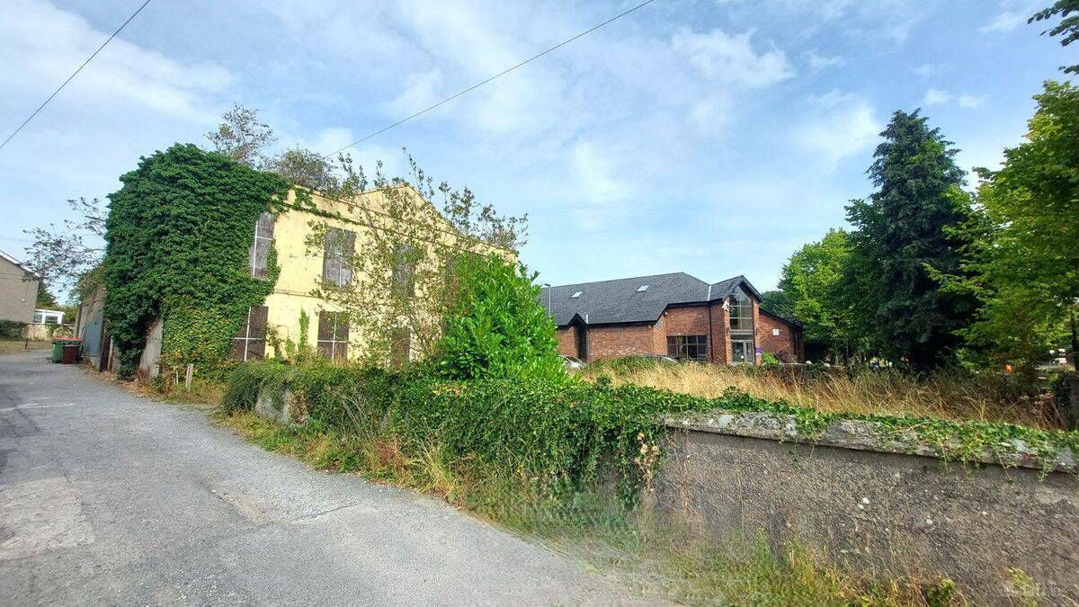 Council bid for derelict Kildare property