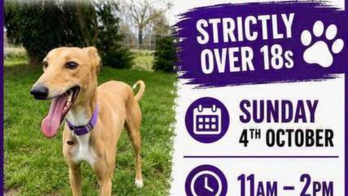 Kildare Rescue Tails: Volunteer recruitment day 