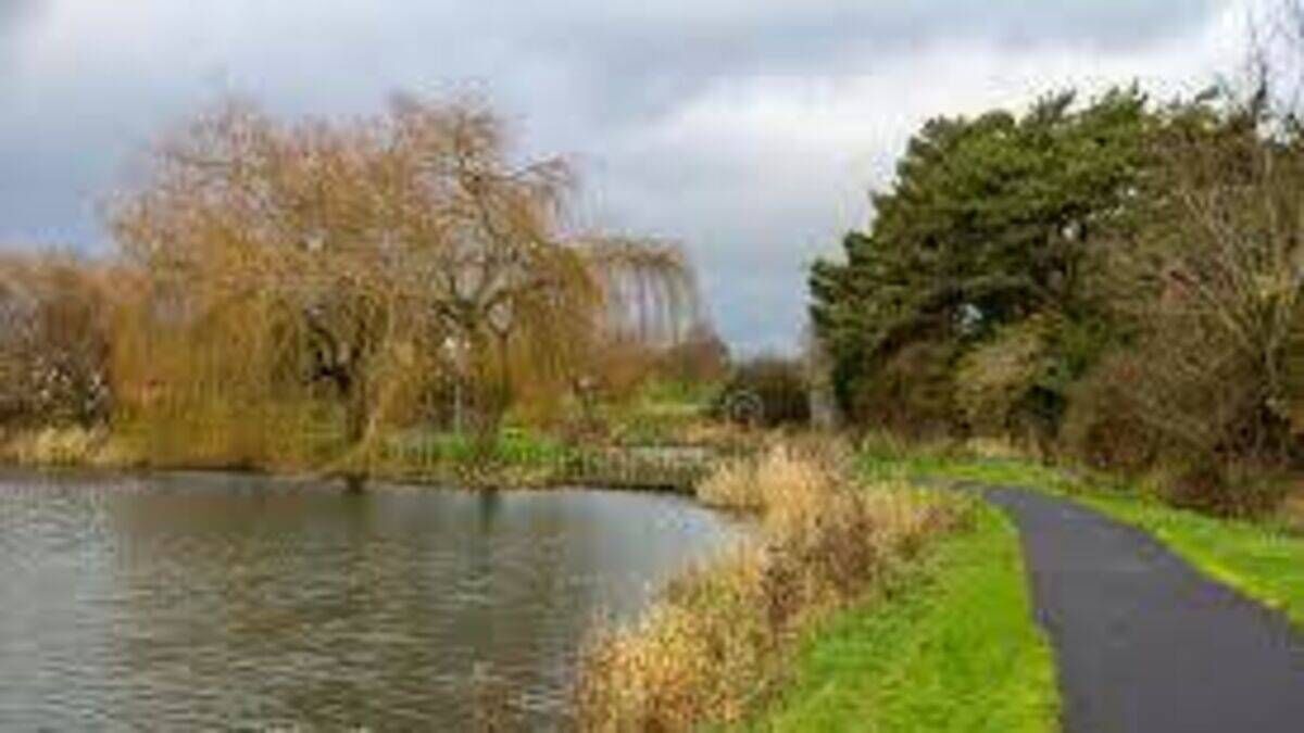 Proposals to tackle overgrowing weeds in Kildare lake being examined