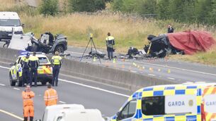 <p>The scene of the M9 fatal collision last month Photo: Aisling Hyland</p> <p>The scene of the M9 fatal collision last month Photo: Aisling Hyland</p>