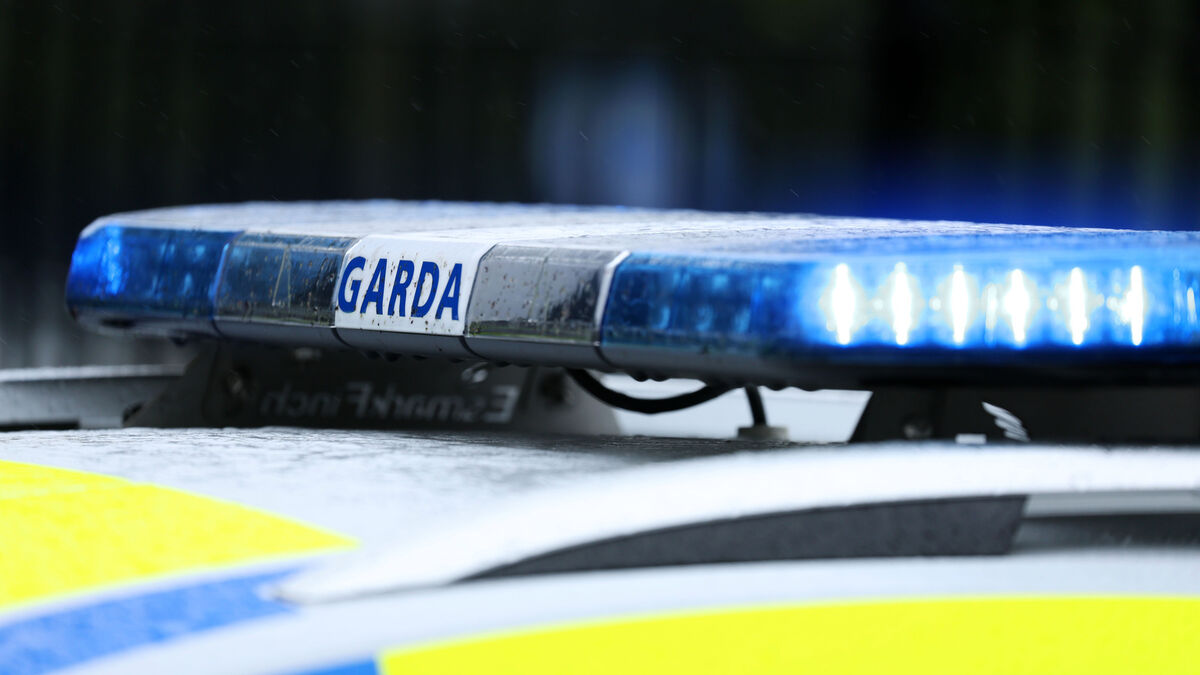 'Throw whatever fine at me' Kildare speeder told gardaí 