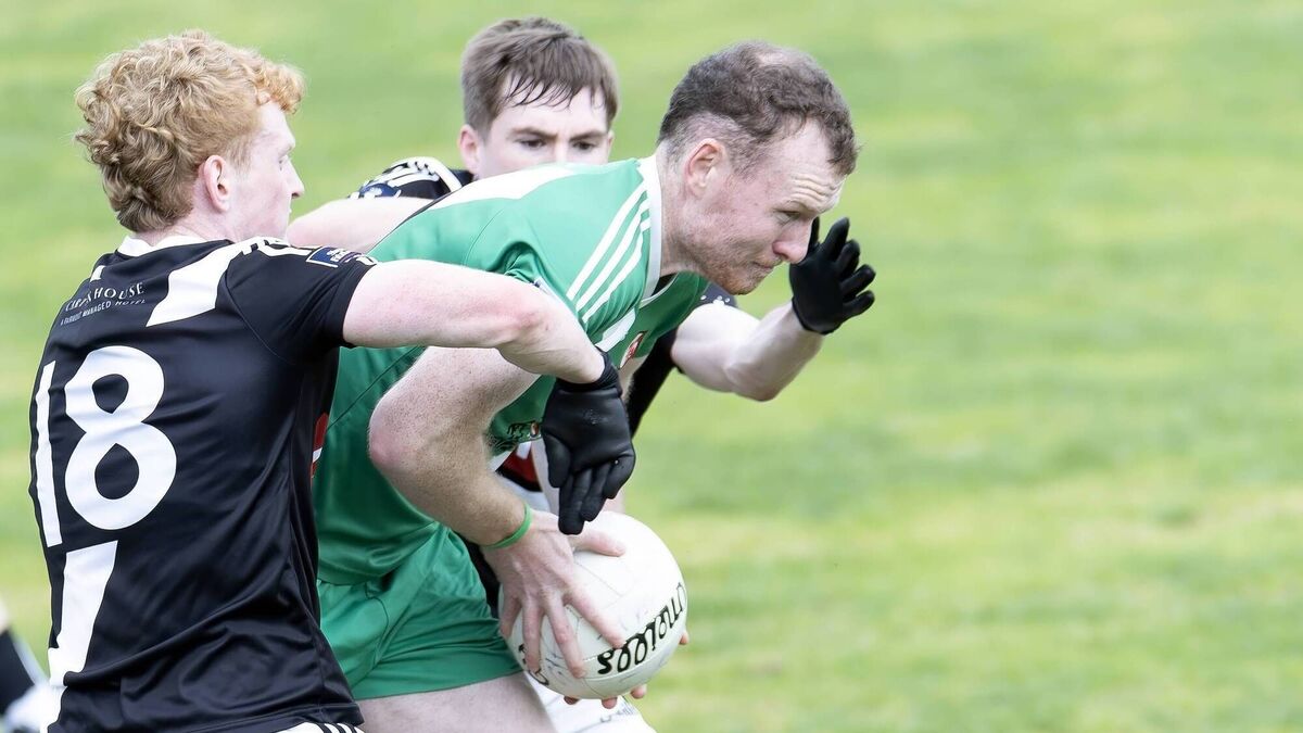 Sash pushed all the way by Maynooth