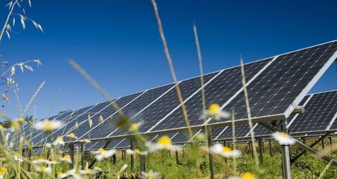 Council will not rule out solar farms on Kildare agricultural land