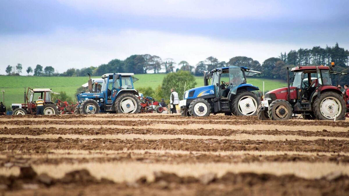 Ploughing will provide 'unrivalled platform' for Kildare