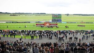 <p>There is another high quality weekend of racing in store at the Curragh Racecourse, with the Group Two Beresford Stakes taking centre stage on Saturday Photo: ©INPHO/Tom Maher</p> <p>There is another high quality weekend of racing in store at the Curragh Racecourse, with the Group Two Beresford Stakes taking centre stage on Saturday Photo: ©INPHO/Tom Maher</p>