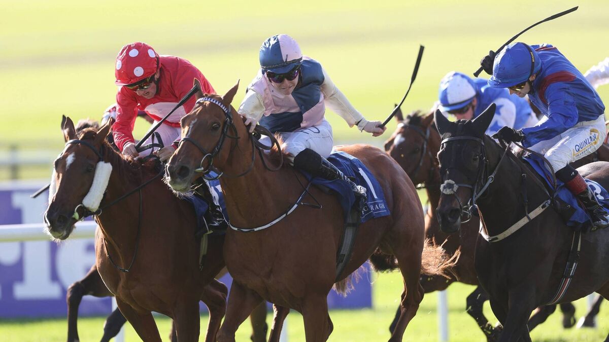 Chally Chute wins lucrative Irish Cesarewitch for O'Sullivan