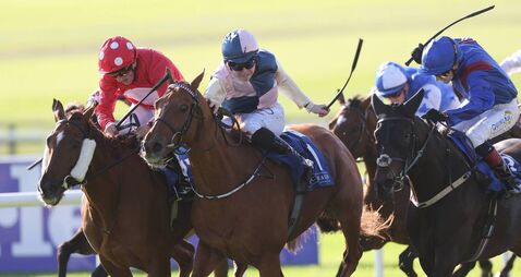 Chally Chute wins lucrative Irish Cesarewitch for O'Sullivan