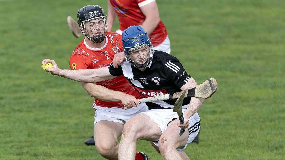 Maynooth warm up for semis with easy win over 13-man Coill Dubh