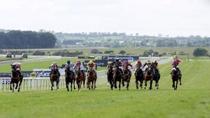 <p>There is racing the Curragh Racecourse on Saturday Photo: ©INPHO/Laszlo Geczo</p> <p>There is racing the Curragh Racecourse on Saturday Photo: ©INPHO/Laszlo Geczo</p>