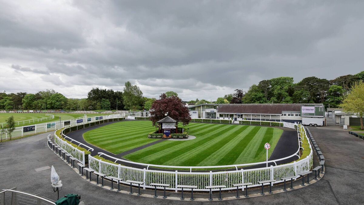 Naas Racecourse: Preview and tips for day one of the flat finale