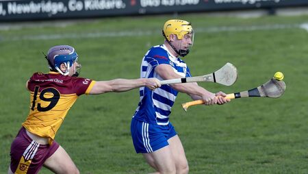 Stroll in the park for Naas as they ease into another SHC final