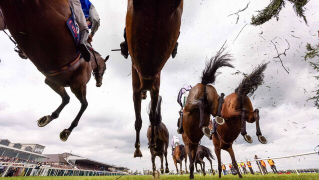 Punchestown Racecourse: Preview and tips for Tuesday’s eight-race meeting