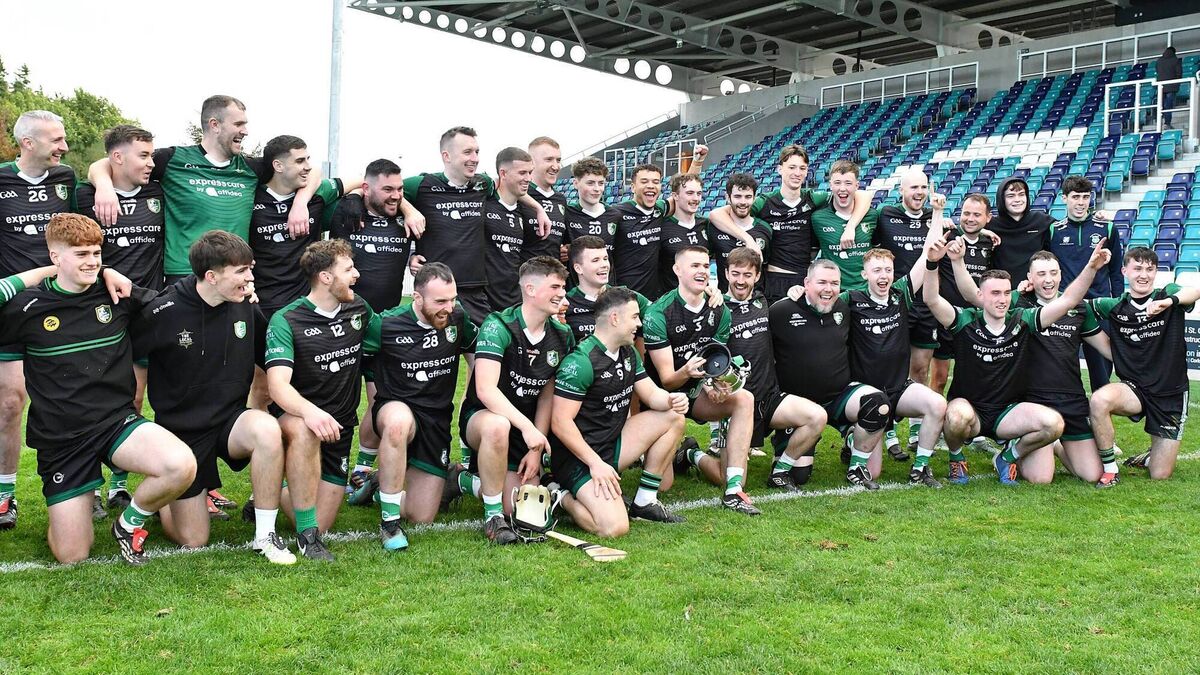 Wolfe Tones win second junior hurling title with ease