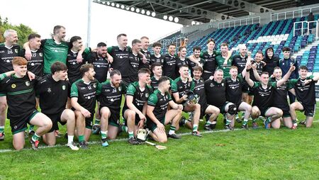 Wolfe Tones win second junior hurling title with ease