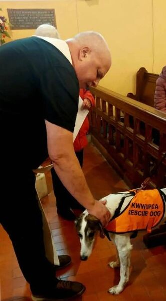 Former rescue dog Buddy being blessed by Reverend Stephen Neill during the Pet Blessing Service Former rescue dog Buddy being blessed by Reverend Stephen Neill during the Pet Blessing Service