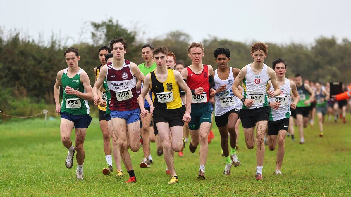 Kildare good as gold at Leinster Cross-Country