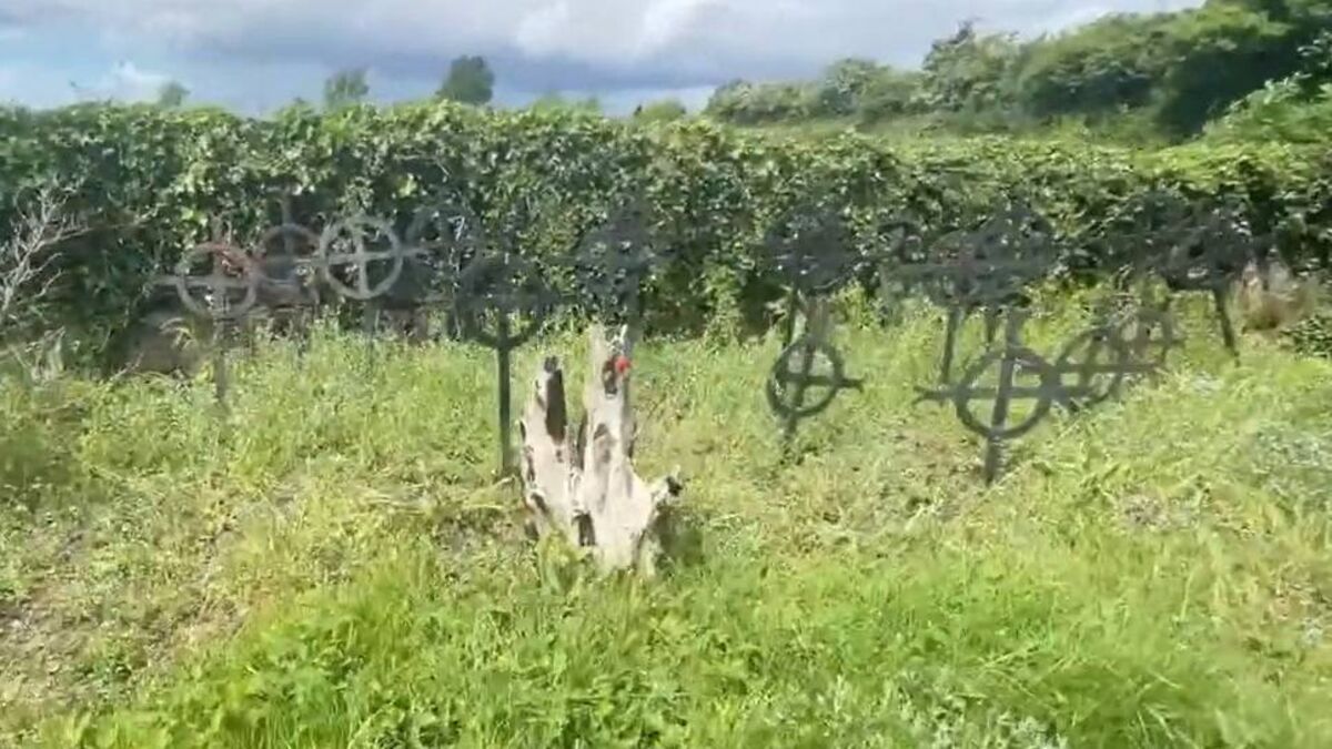 Council does not have resources to take ownership of Athy cemetery