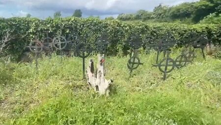 Council does not have resources to take ownership of Athy cemetery
