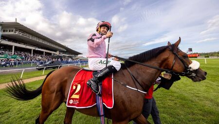 Harrington and McCreery part of strong Irish challenge at Breeders Cup