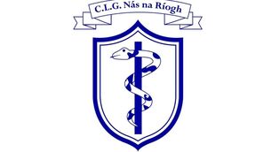 <p>Naas GAA has released a statement detailing the reasons why they are unable to field a team for the UPMC Intermediate Hurling Championship Final against Leixlip, which was scheduled for Sunday 1 November </p>